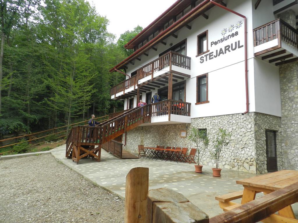 Pensiunea Stejarul Mierea Exterior photo