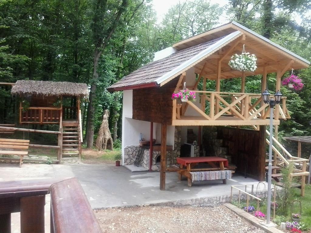 Pensiunea Stejarul Mierea Exterior photo